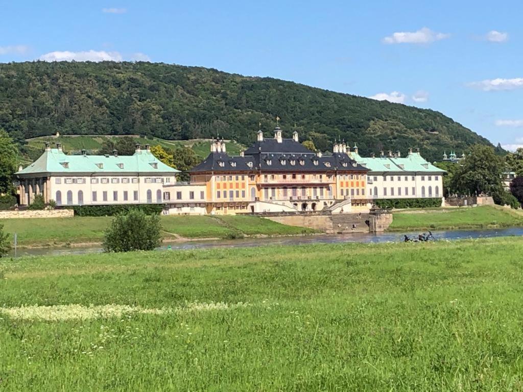 Schlesinger Апартаменты